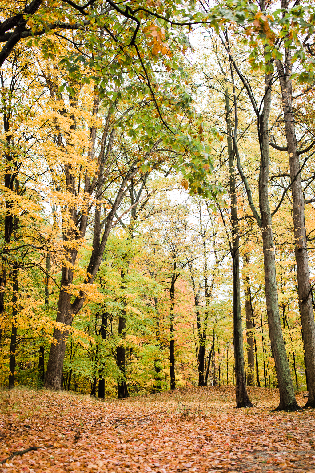 home-is-where-the-heart-is-michigan-trip-seasons-change-10